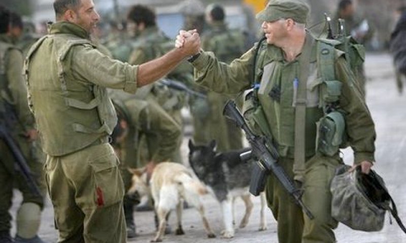 [צילום: AP]