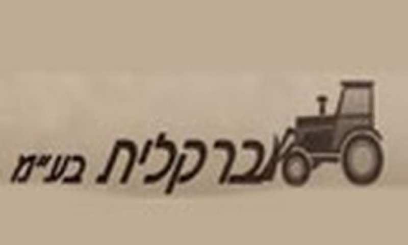 "שבויה בידי הבנק"