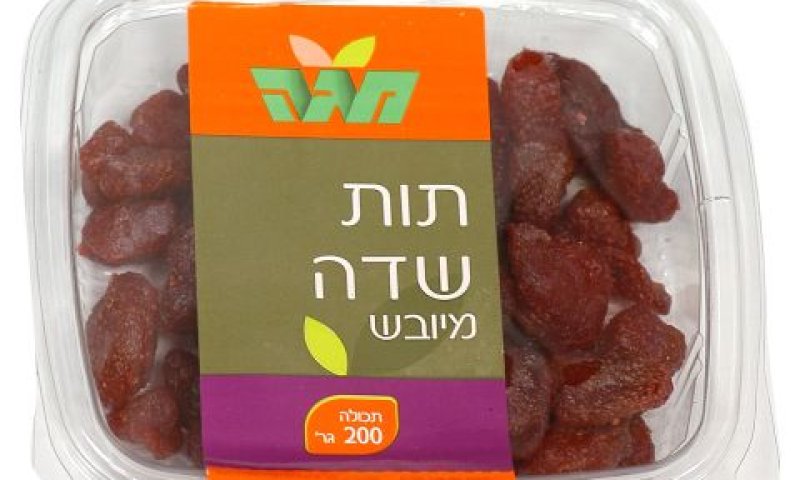[צילום: יח"צ]