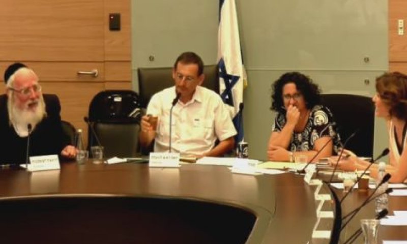 משתתפי הדיון בוועדה