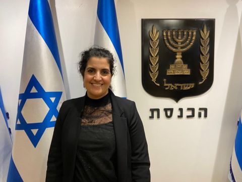 אפיק. דורשת בדיקה [צילום: דוברות הכנסת]