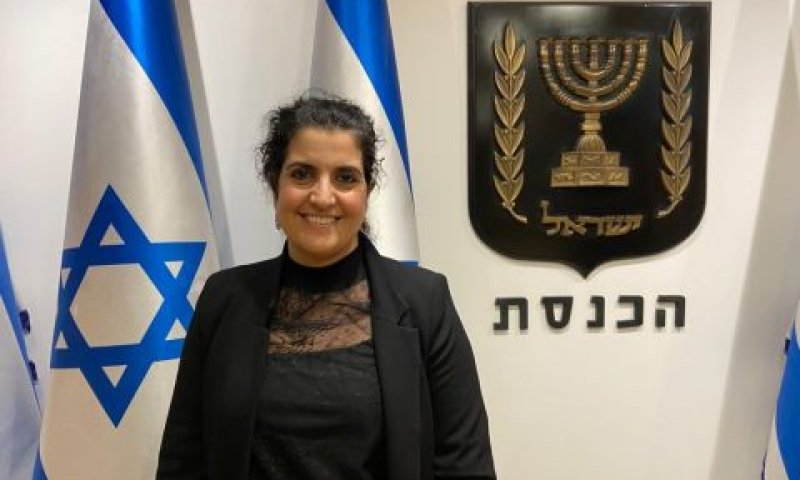 עו"ד שגית אפיק [צילום: דוברות הכנסת]