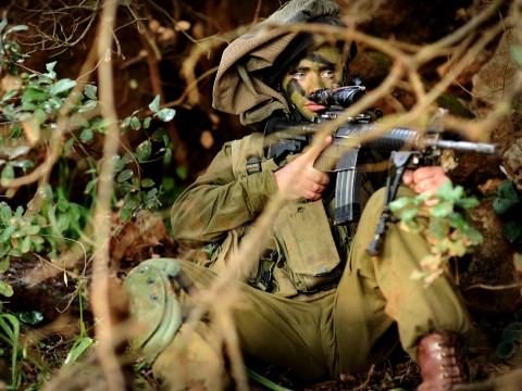 [צילום: דו"צ]