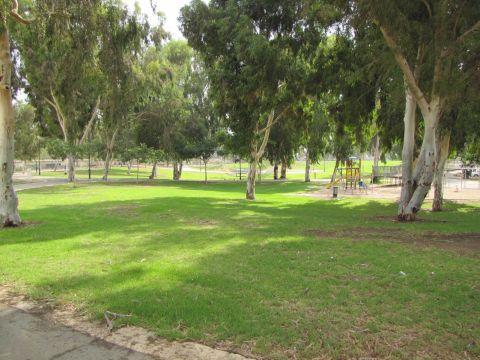 מתחם הפארק [צילום: יח"צ]