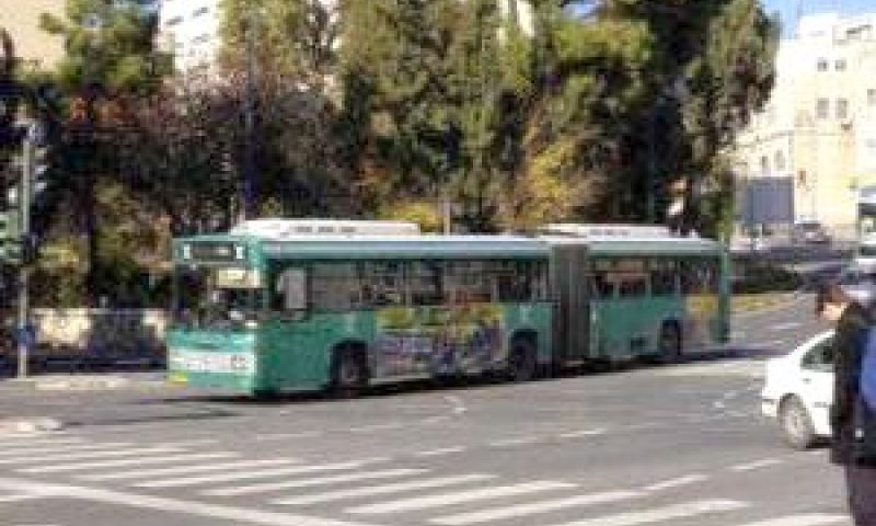 בעלי לקויות זכאים לתחבורה יעילה [צילום אילוסטרציה: לע"מ]