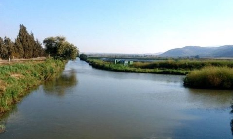 מבט מגשר הכניסה לאגמון אל מורד התעלה המערבית [צילום: רשות ניקוז ונחלים כינרת]