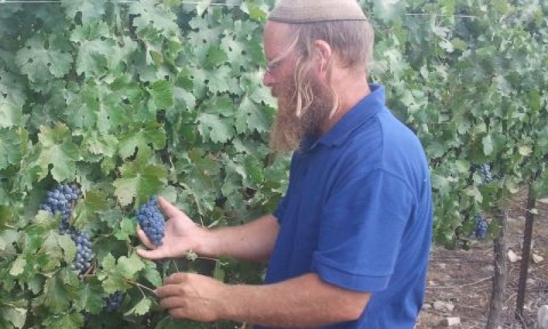 בעז אלברט [צילום: דוברות יצהר]