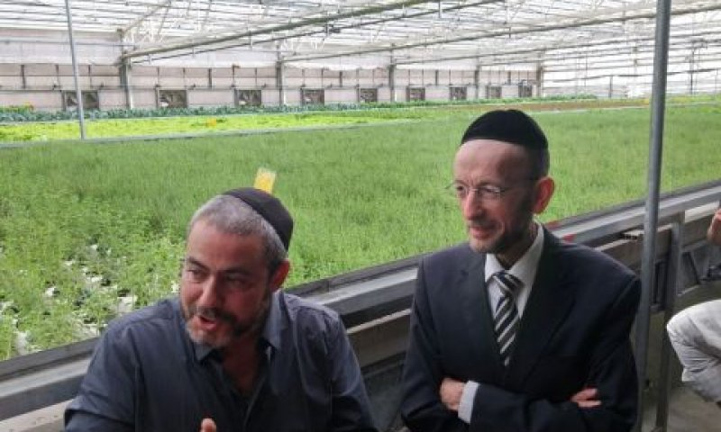 מקלב ובן ציון קבקוב