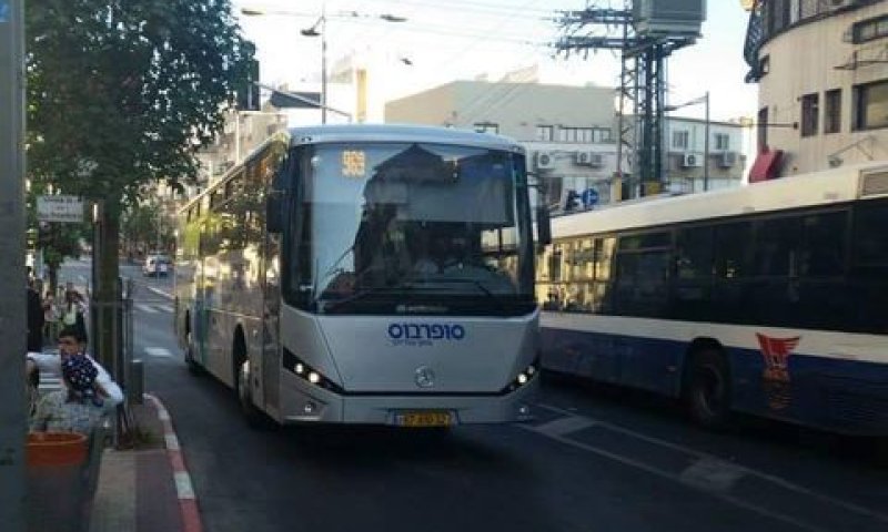 קו 969 [צילום אילוסטרציה: מולי מנדלסון]