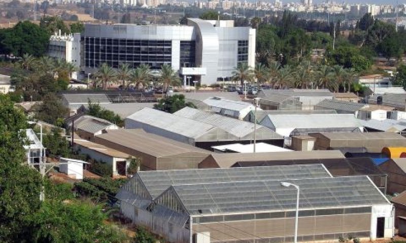 מכון וולקני