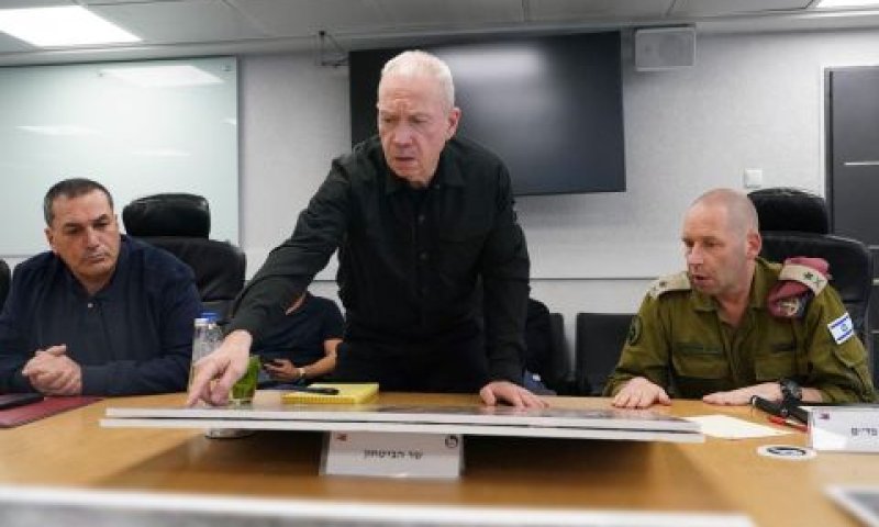 [צילום: אלעד מלכה]