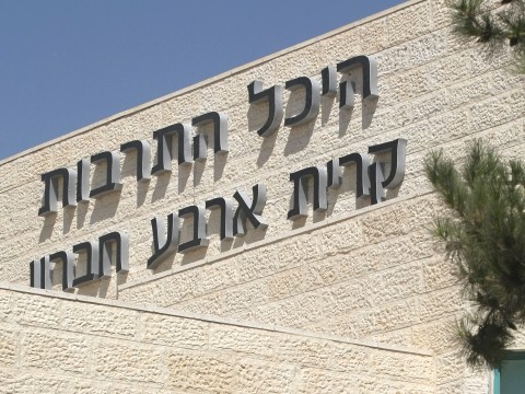 [צילום: פלאש 90]