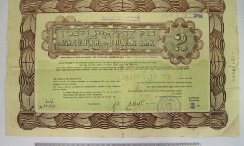 רק מניות על שם