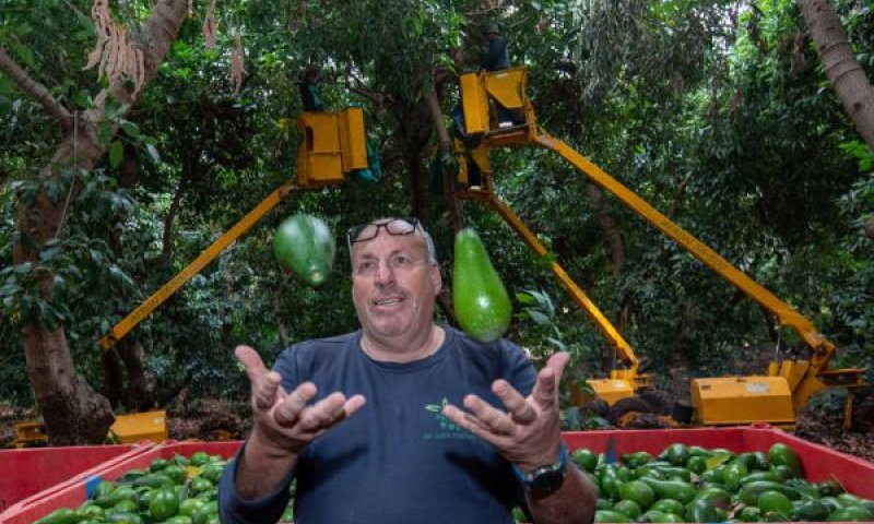 עופר מוסקוביץ' ז"ל [צילום: אייל מרגולין/פלאש 90]