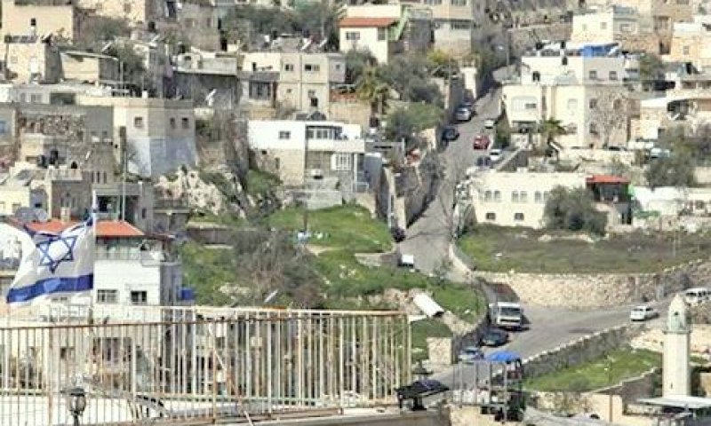 [צילום: AP]