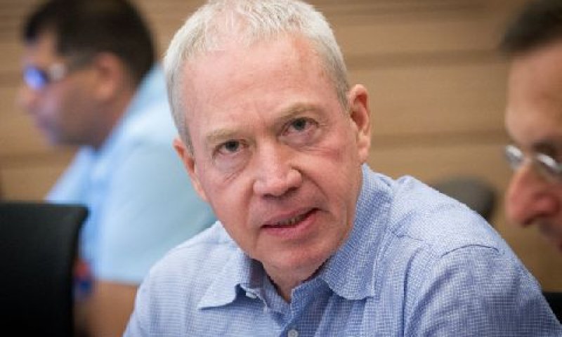גלנט. סדר בבלגן [צילום: מרים אלסטר/פלאש 90]