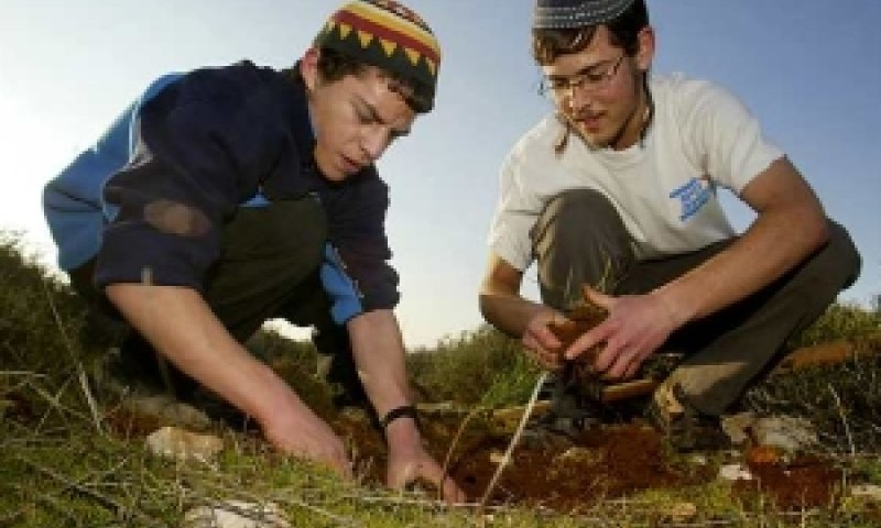 [צילום: פלאש 90]