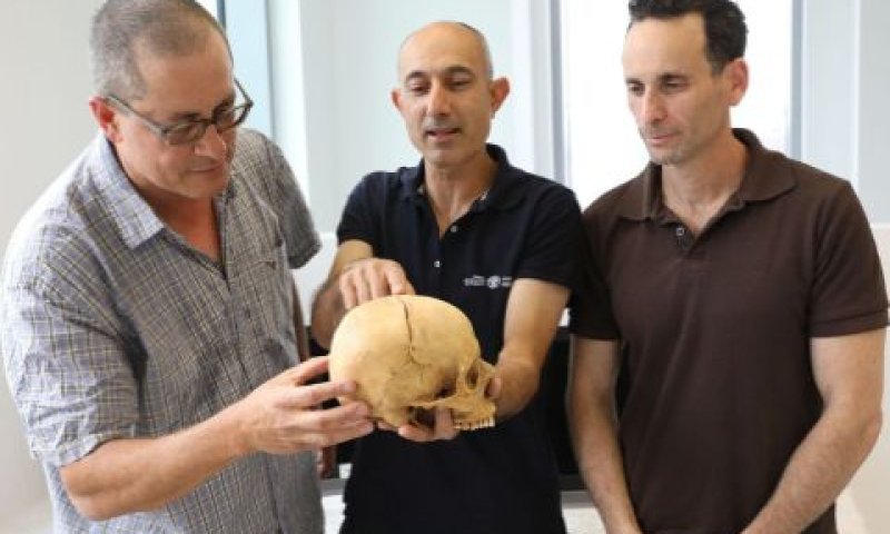 משמאל לימין: פרופ' זיסו, ד"ר נגר וד"ר כהן עם הגולגולת [צילום: חן גלילי, אוניברסיטת תל אביב]