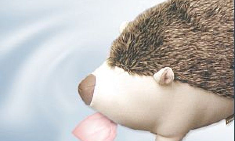 קיפוד לטישו [צילום: יח"צ]