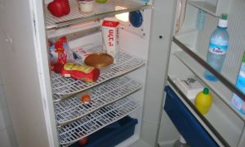 לא קירר כראוי [צילום אילוסטרציה: עומר שיקלר]
