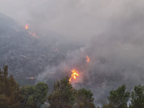השרפות בצפון הארץ [צילום: כבאות והצלה לישראל מחוז צפון]