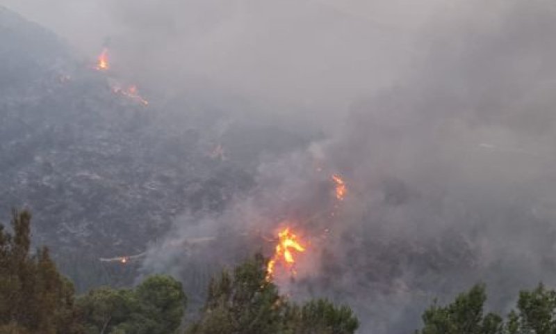 שריפה ביער צ'רצ'יל נוף הגליל [צילום: כבאות והצלה לישראל מחוז צפון]