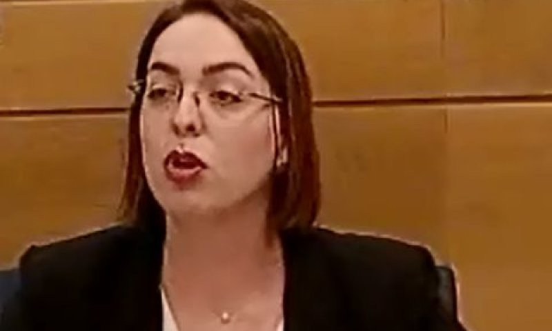 נטע משה. מדרג שחיתות [צילום: מן הטלוויזיה]