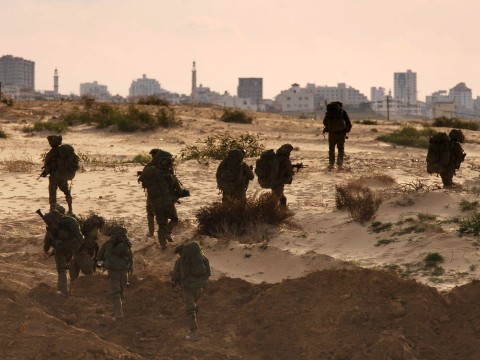 [צילום: דו"צ]