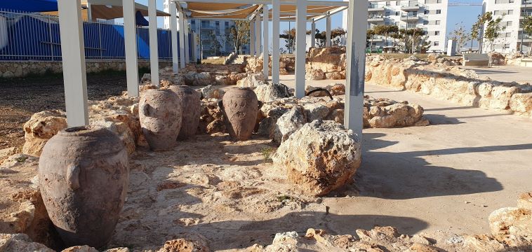 תועלות חינוכיות [צילום: דרור סיתהכל, רשות העתיקות]