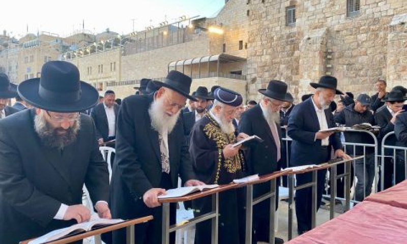 [צילום: דוברות שס]