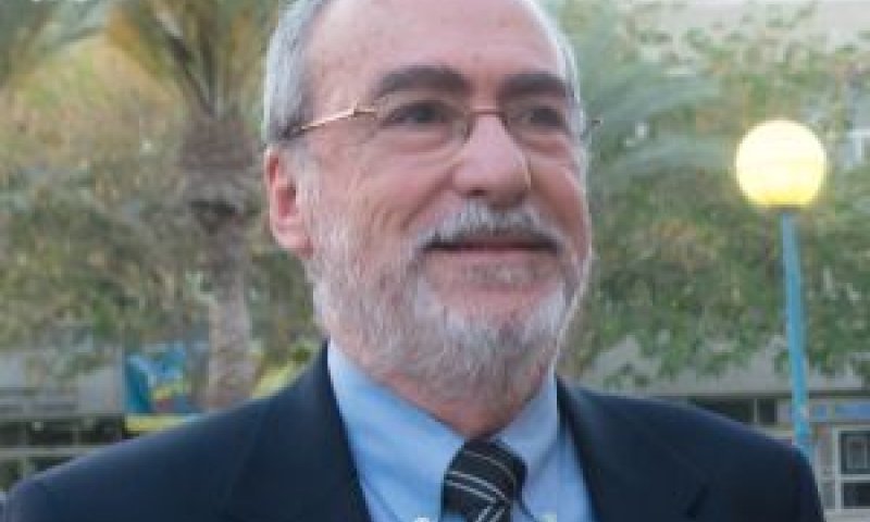 גרוניס. פרשנות שונה [צילום: דני מכליס]
