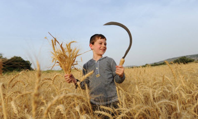 שינוי יעדים [צילום: מנדי הכטמן, פלאש 90]