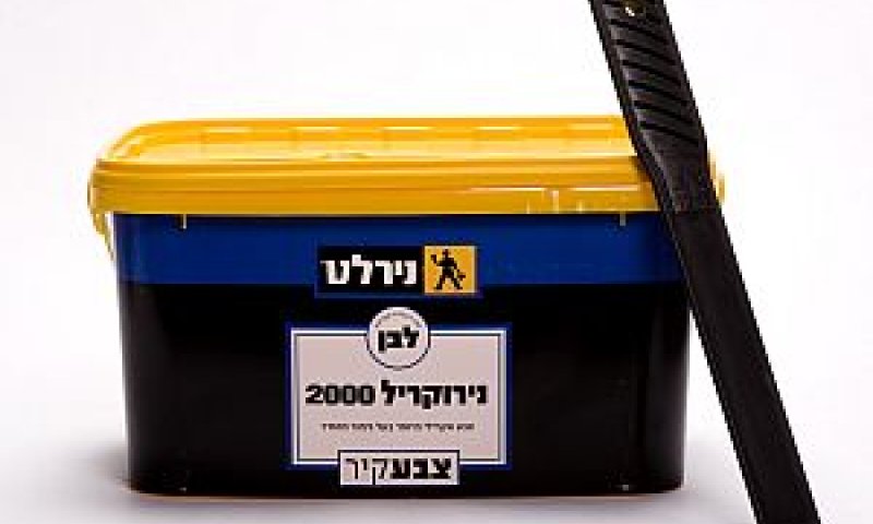 [צילום: יח"צ]