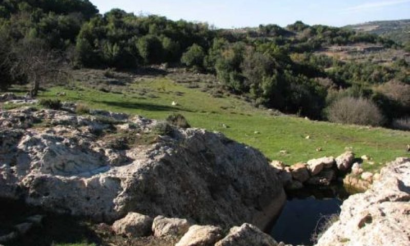הר מירון. במטרה להניב רווחים