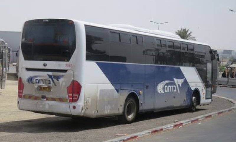 [צילום: שמואל וולף]