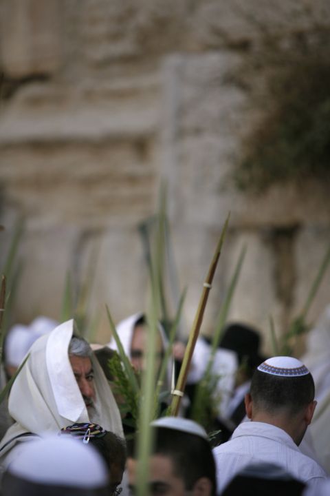 [צילום: פלאש 90]