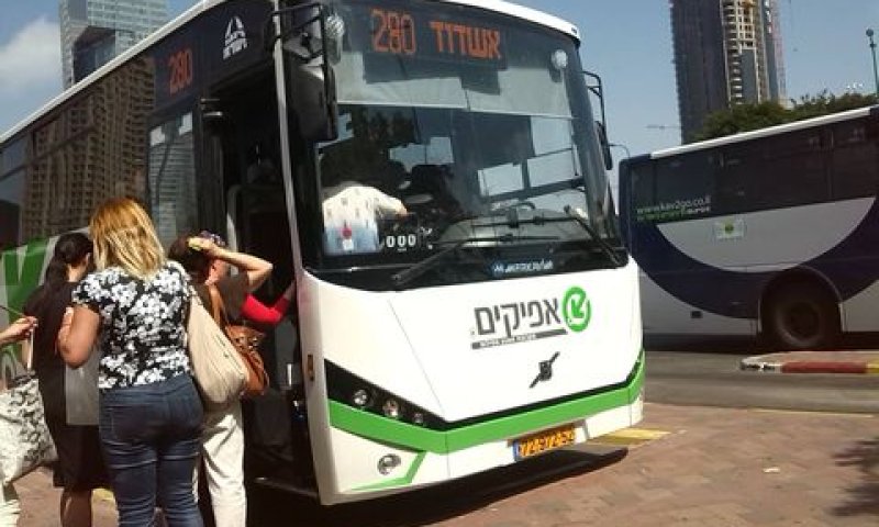 [צילום: אברהם שטרן]