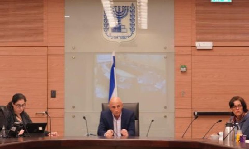 ועדת הקורונה בכנסת [צילום: דוברות הכנסת - עדינה ולמן]