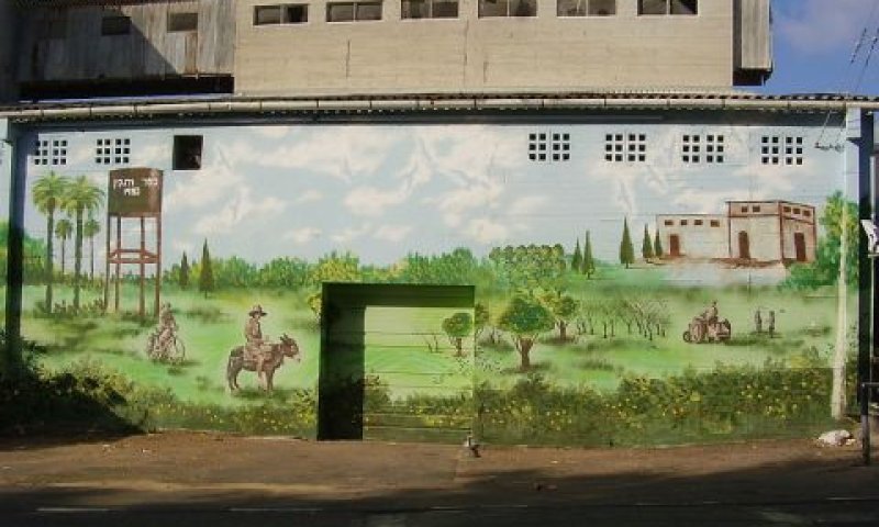 כפר ויתקין. חקלאי [צילום: אבישי טייכר]