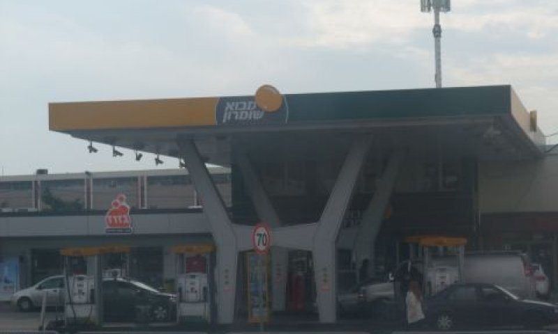 ash 009.jpg