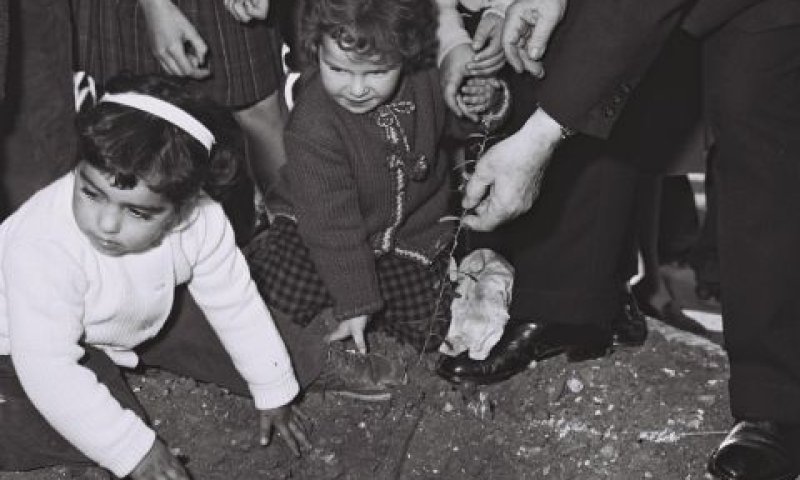 ילדים בנטיעות ט"ו בשבט (1963) [צילום: משה פרידן/לע"מ]