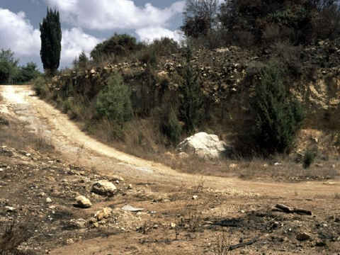 יגאל שם טוב