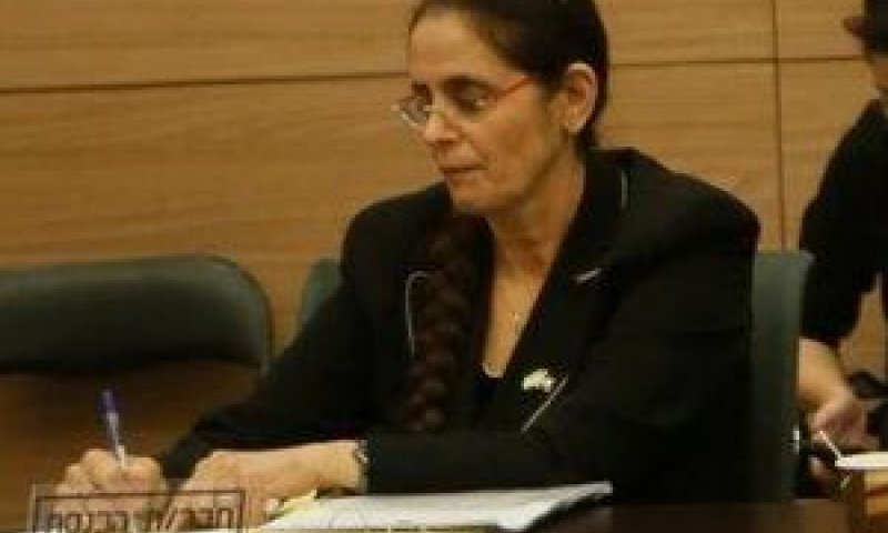 ח"כ ברקו בישיבת הוועדה [צילום: דוברות הכנסת]
