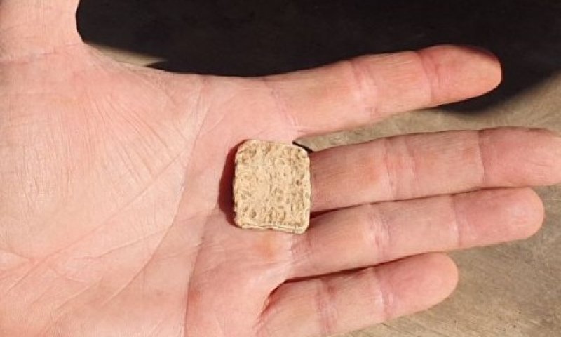 הקמע שהתגלה בשומרון [צילום: רועי חדי, דוברות שומרון]