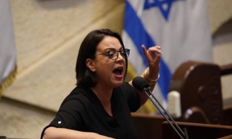 [צילום: דני שם-טוב/דוברות הכנסת]