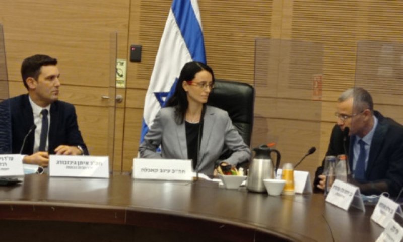יריב לוין, עינב קאבלה ואיתן גינזבורג