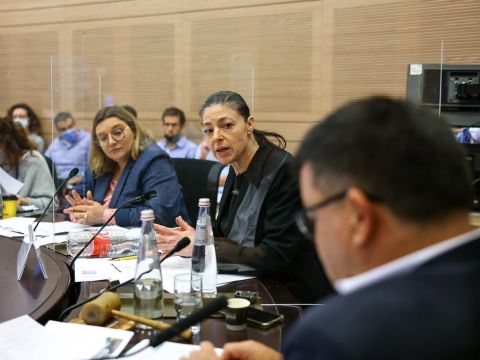 מיכאלי ופרנק [צילום: נועם מושקוביץ/דוברות הכנסת]