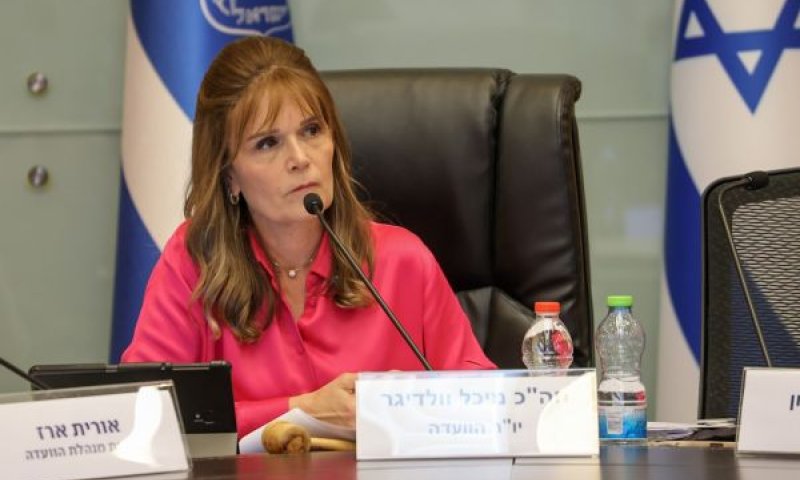 המדינה תממן לראשונה את תוספת הפרמיה לנכי צה"ל [צילום: דני שם-טוב/דוברות הכנסת]