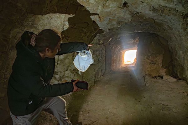 תעלומה אמיתית [צילום: יולי שוורץ, רשות העתיקות]