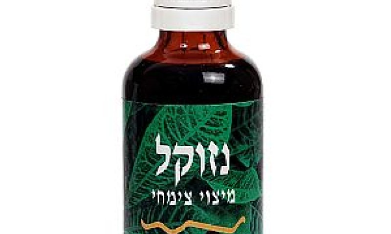 נזוקל [צילום: אפרת אשל]